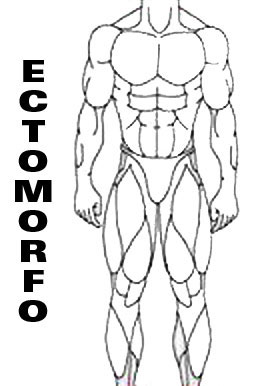 Ectomorfo - Entrena según tu tipo de cuerpo Ectomorfo - Entrena según tu tipo de cuerpo