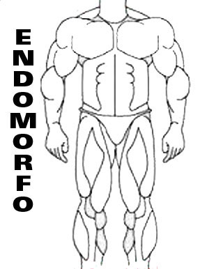 Endomorfo - Entrena según tu tipo de cuerpo Endomorfo - Entrena según tu tipo de cuerpo
