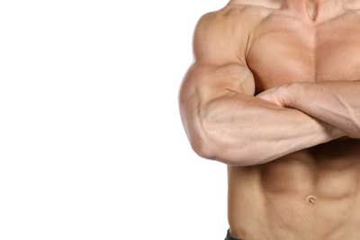 Para digerir las proteínas se emplea más energía que con el resto de los macronutrientes Para digerir las proteínas se emplea más energía que con el resto de los macronutrientes